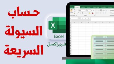 نموذج حساب السيولة السريعة مصغرة